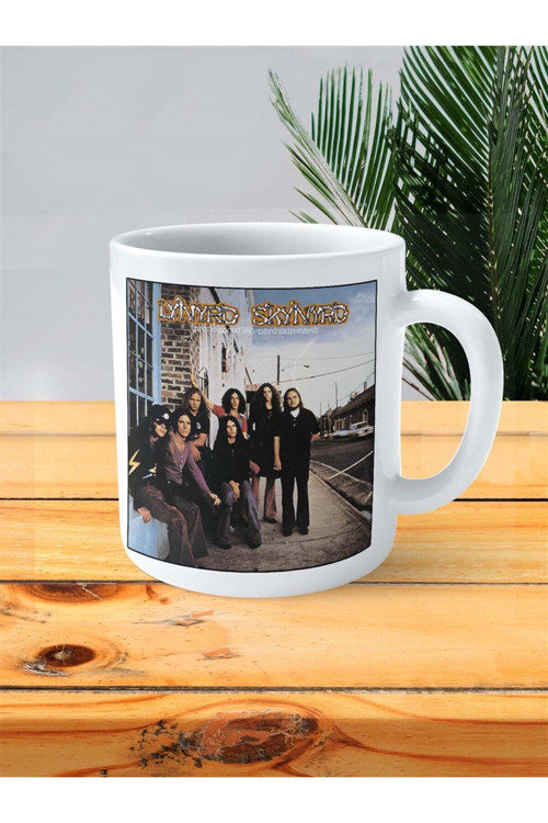 Art hedi̇ye Lynyrd Skynyrd Baskılı Kupa Bardak Kişiye Özel desen 1