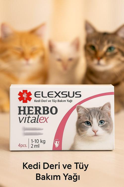 Kedi Deri Ve Tüy Bakım Yağı