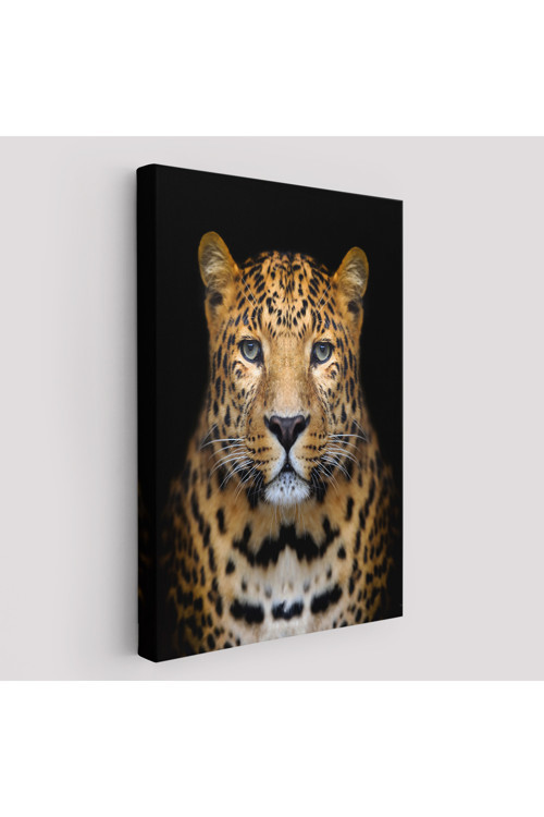 Leopar Dekoratif Kanvas Tablo-5959