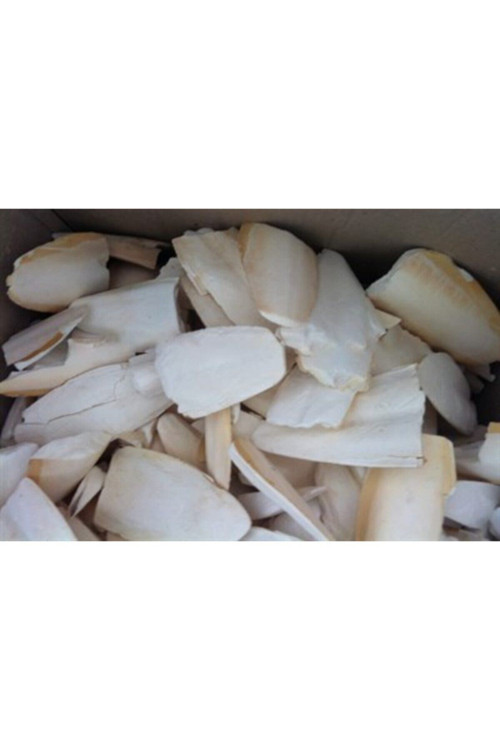 Kırık Mürekkep Bal.Kemiği (Kalamar) 1 Kg