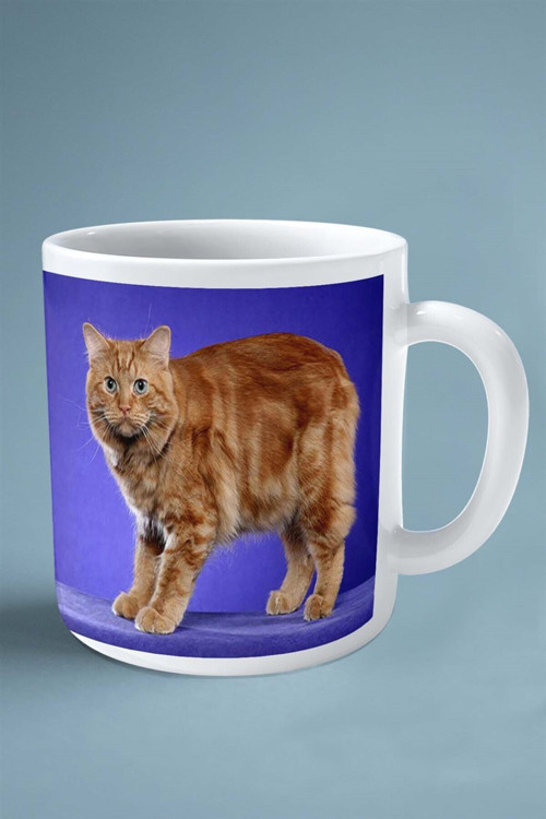 Art hedi̇ye Cymric kedisi kedi isimli Kişiye Özel Baskılı Kupa Bardak model 4