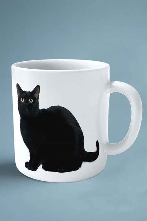 Art hedi̇ye bombay kedisi kedi isimli Kişiye Özel Baskılı Kupa Bardak model 4