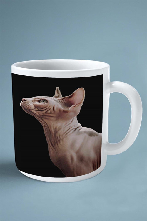 Art hedi̇ye Sphynx kedi isimli Kişiye Özel Baskılı Kupa Bardak model 2