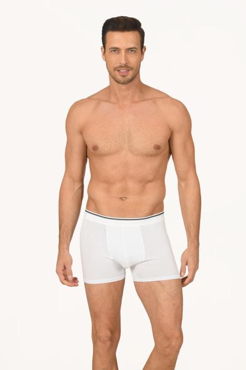 3 Adet Nbb Erkek Modal Boxer 735