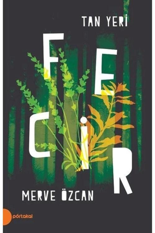Fecir - Tan Yeri 2