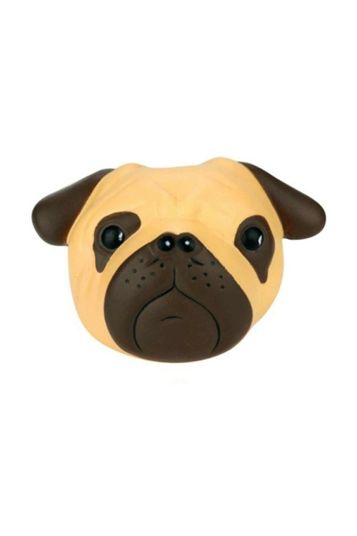 Pug Köpek Surat Yavaş Yükselen Kokulu Bulldog Sukuşi