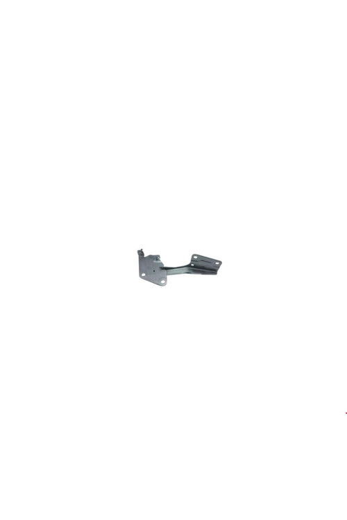 FLU10-4600Y RENAULT FLUENCE 2010- MOTOR KAPUT MENTEŞESİ SOL UYUMLU OEM NO: 654010016R