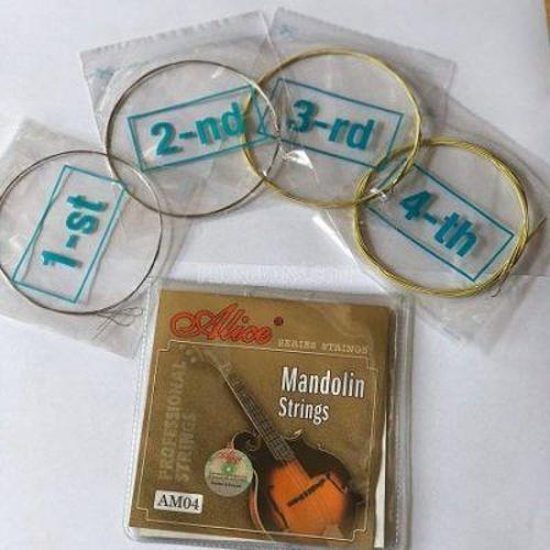 AM04 MANDOLİN TELİ