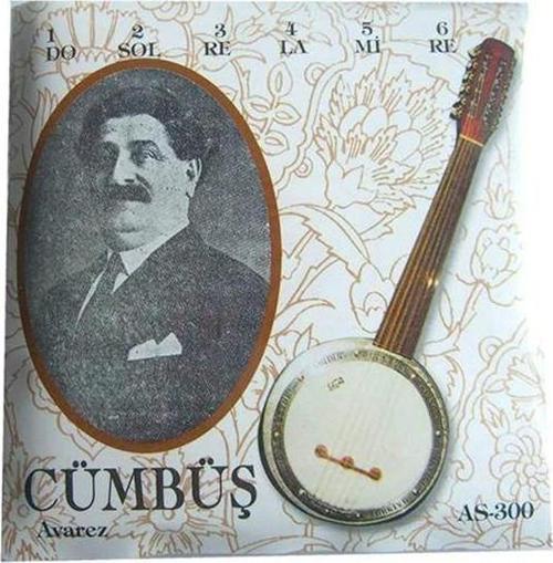 AVAREZ AS-300 CÜMBÜŞ TELİ TAKIM ORJİNAL
