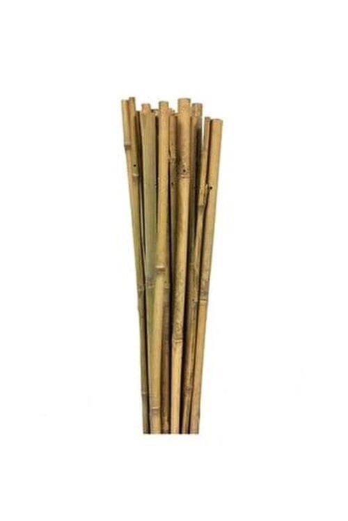Bambu Bitki Destek Çubuğu  120cm