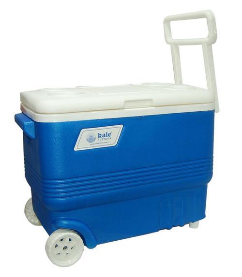 Tekerlekli Buzluk 45lt