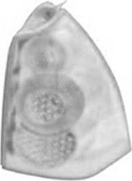 6351X2-PEUGEOT 307 ARKA STOP SW.SAĞ 05-07 -PEJ1037011