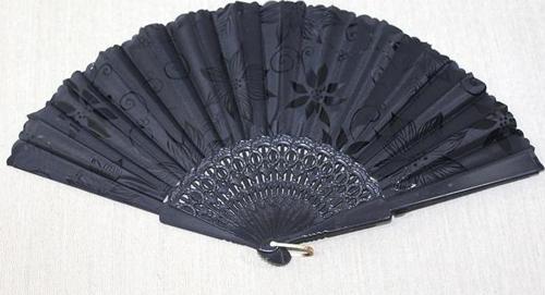 Plastik Siyah Yelpaze Alk3569