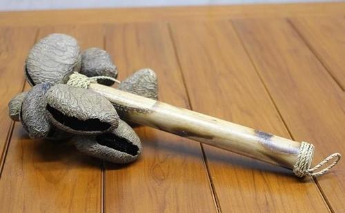 Coconat Sarkaçli Marakas Dıarta:2