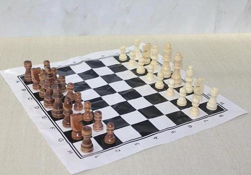 Ahşap Satranç Taşı 10 Cm Alk4017