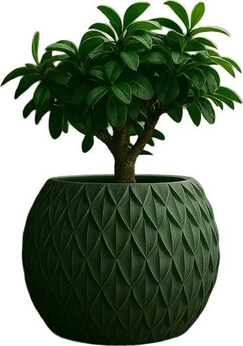 Yeşil Modern Tasarım Dekoratif Saksı