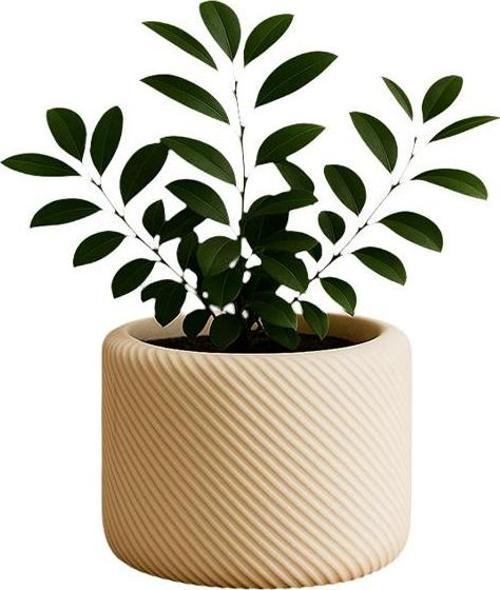 Minimal Çizgili Dekoratif Saksı