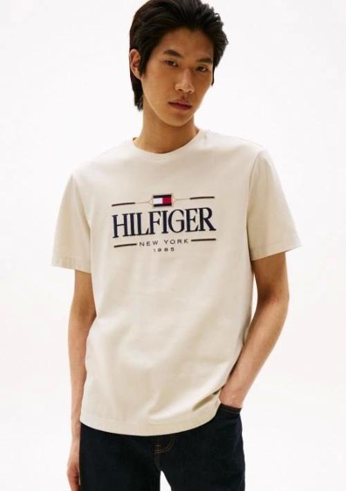 Icon Hilfiger Erkek T-shirt MW0MW39585ACG