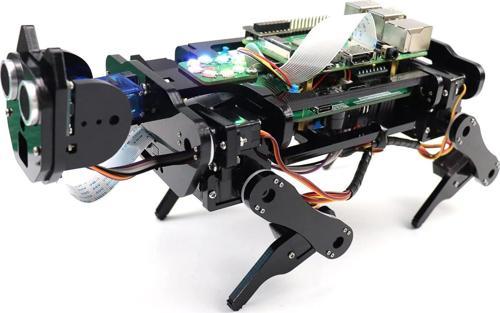 Robot Köpek Kiti - Raspberry Pi Robot İçin