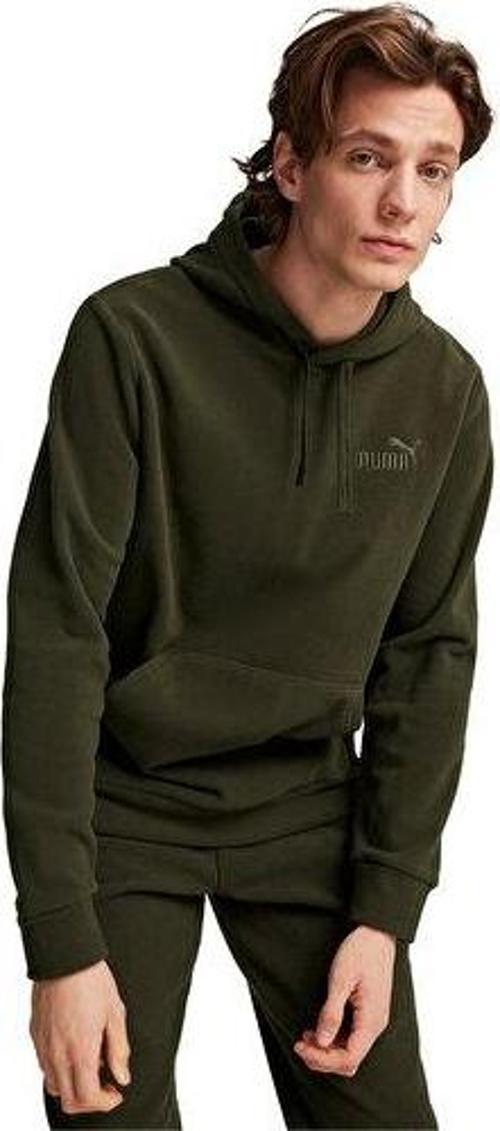 Ess Elevated Hoodie Erkek Günlük Polar Sweatshirts 68189270 Haki