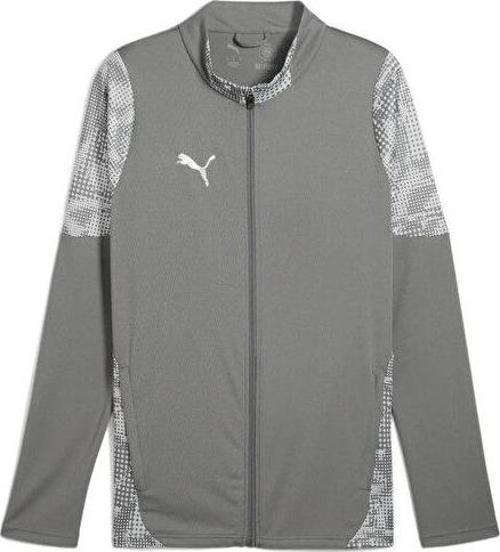 Teamcup Training Jacket Erkek Futbol Antrenman Ceketi 65916513 Gri