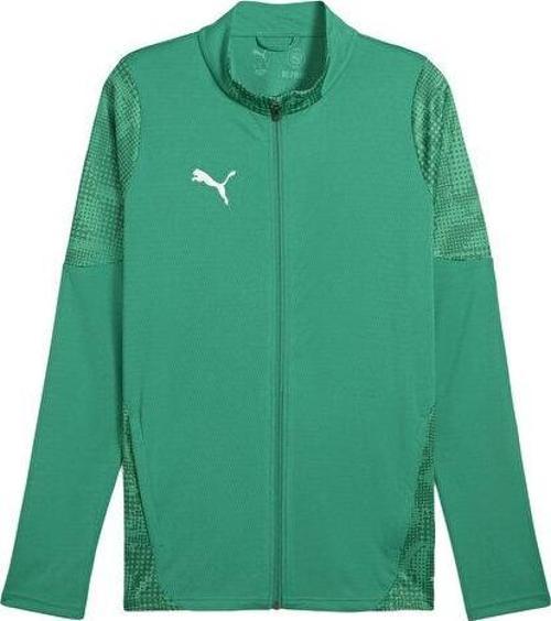 Teamcup Training Jacket Erkek Futbol Antrenman Ceketi 65916505 Yeşil