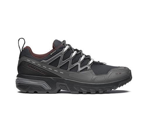 Acs+ Gtx Erkek Outdoor Ayakkabısı L47822000 Siyah