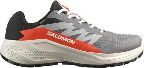 Alphaglide Gore-Tex Erkek Outdoor Koşu Ayakkabısı L47975300 Gri