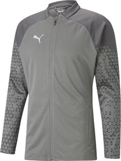 Teamcup Training Jacket Erkek Futbol Antrenman Ceketi 65798313 Gri