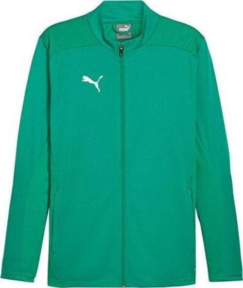 Teamfinal Training Jacket Erkek Futbol Antrenman Ceketi 65855405 Yeşil