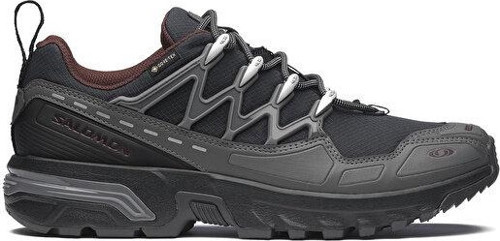 Acs+ Gtx Erkek Outdoor Ayakkabısı L47822000 Siyah