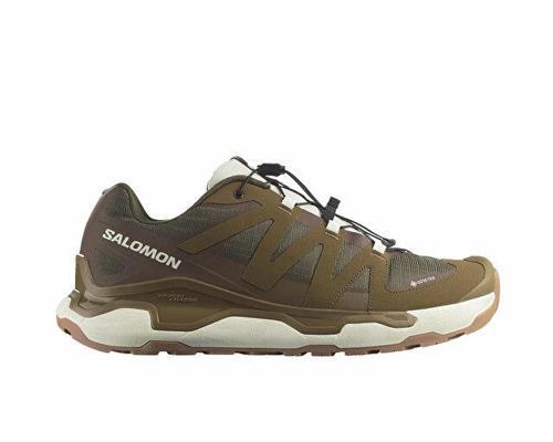 Xc Roam Gtx Erkek Outdoor Ayakkabısı L47966700 Kahverengi