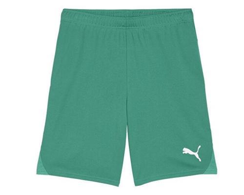 Teamgoal Shorts Erkek Futbol Antrenman Şortu 70575205 Yeşil