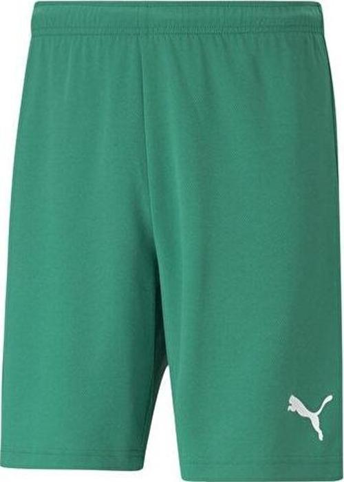 Teamrise Short Erkek Futbol Maç Şortu 70494205 Yeşil