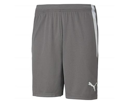 Teamliga Shorts Erkek Futbol Şortu 70492413 Gri