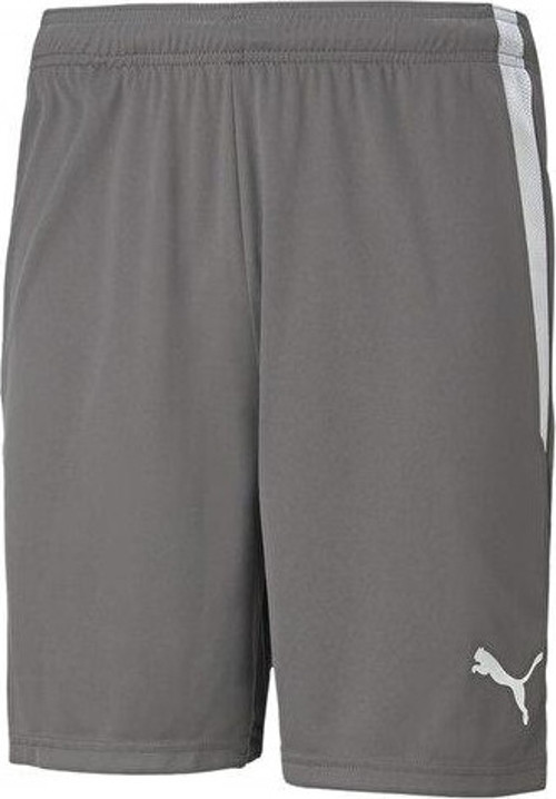 Teamliga Shorts Erkek Futbol Şortu 70492413 Gri