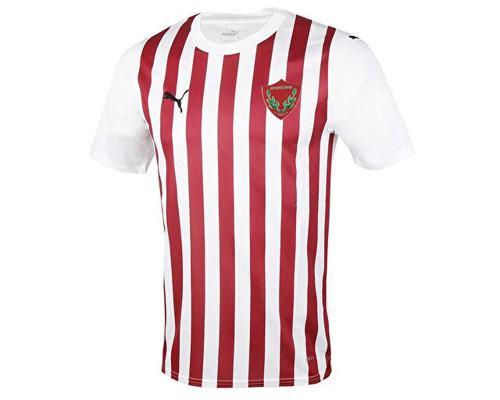 Home Jersey Erkek Futbol Forması HTY77881301 Renkli