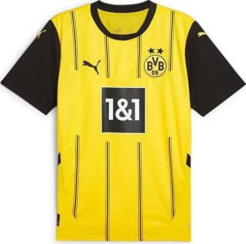 Bvb Home Jersey Replica Erkek Futbol Forması 77494601 Renkli