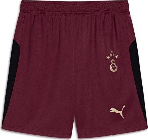 Gsk Shorts Replica W/Blocking W/O Erkek GALATASARAY 25/26 Futbol Şortu 77982303 Siyah