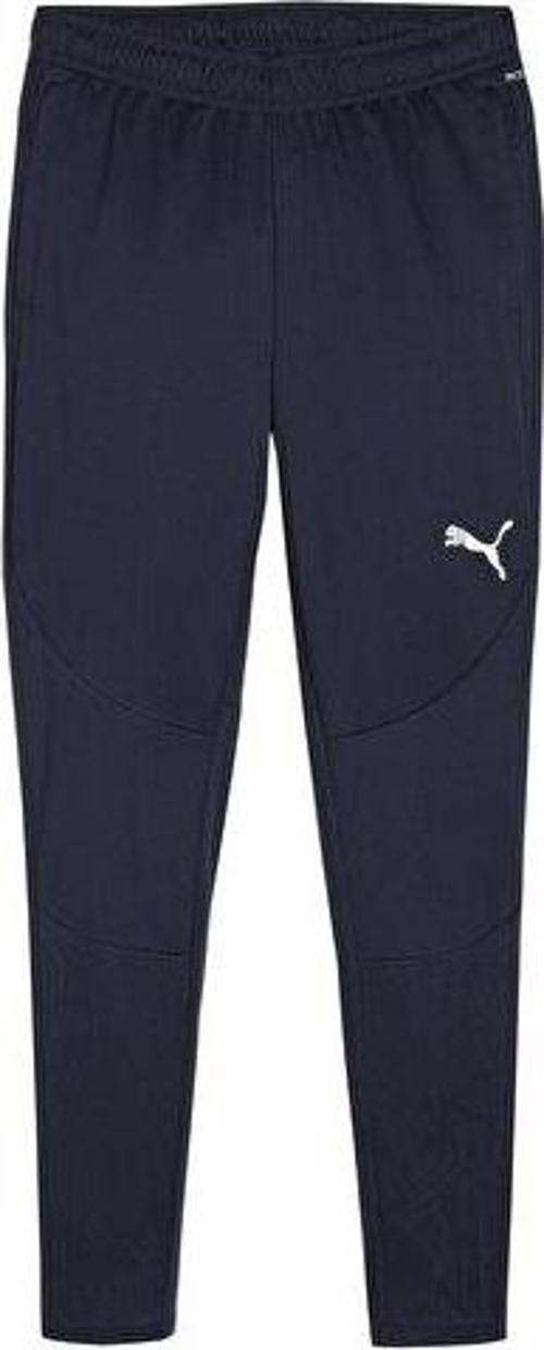 Teamfinal Training Pants Erkek Futbol Antrenman Eşofman Altı 65856306 Lacivert