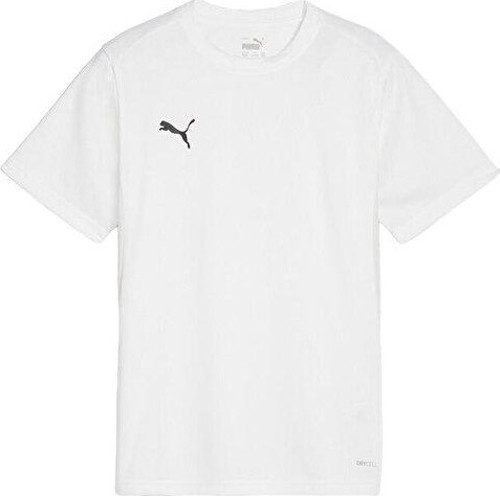 Teamgoal Jersey Erkek Futbol Antrenman Tişörtü 65863604 Beyaz