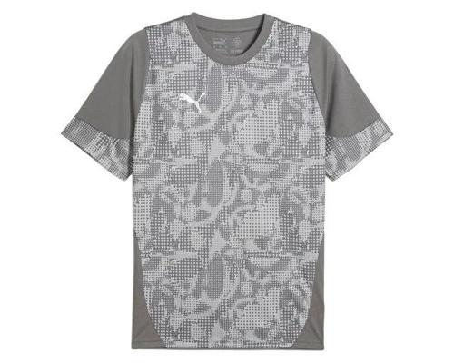 Teamcup Training Jersey Erkek Futbol Tişörtü 65916713 Gri