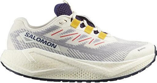 Aero Blaze 3 Grvl Gore-Tex Unisex Outdoor Koşu Ayakkabısı L47974100 Beyaz
