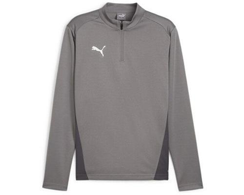 Teamgoal Training 1/4 Zip To Erkek Futbol Uzun Kollu Antrenman Tişörtü 65862913 Gri