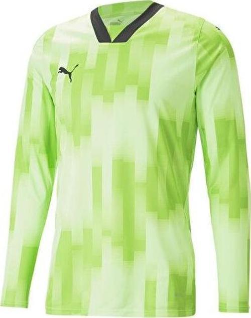 Teamtarget Gk Ls Jersey Erkek Kaleci Forması 70564620 Yeşil