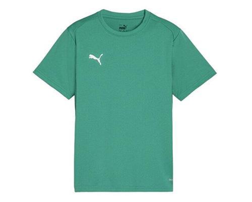 Teamgoal Jersey Erkek Futbol Antrenman Tişörtü 65863605 Yeşil