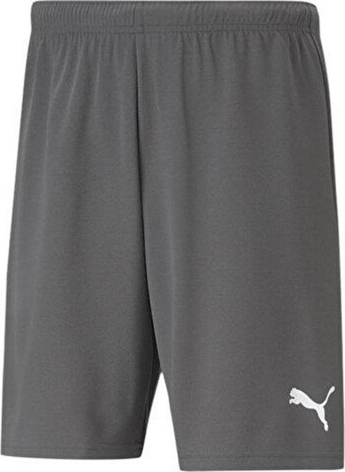 Teamrise Short Erkek Şortu 70494213 Gri