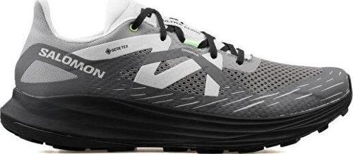 Ultra Flow Gtx Erkek Arazi Tipi Koşu Ayakkabısı L47692700 Gri
