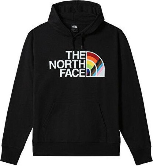 M Pullover Hoodie Erkek Outdoor Sweatshirts NF0A7QCKJK31 Siyah