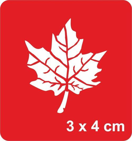 Çınar Yaprağı Tattoo Geçici Dövme Şablonları Kına Kalıpları